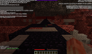 I lost sight of my new found friend but finally found my way onto a highway in the nether: the best possibility to escape spawn.