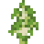 BIRCH_SAPLING