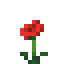 POPPY