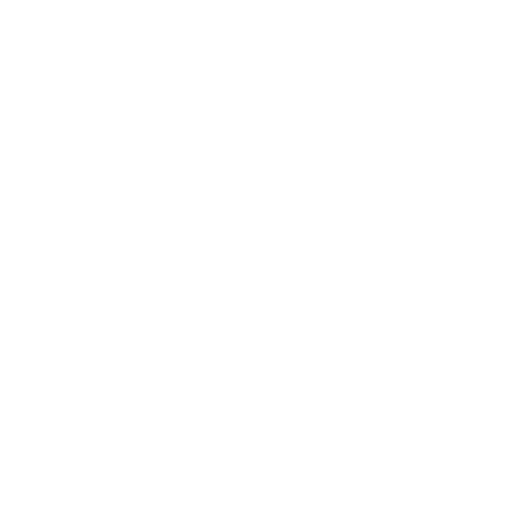 Dogcraft Logo White.png