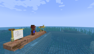 Station Station branch line.png