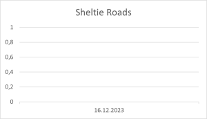 Sheltie Roads 16.12.2023.png