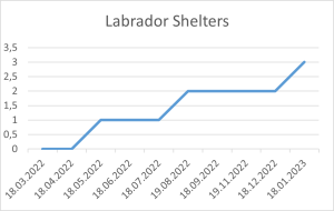 Labrador Shelters 18 01 2023.png
