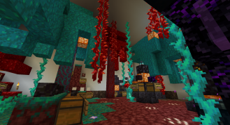 Nether section of the store