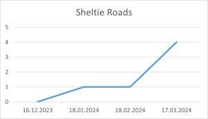 Sheltie Roads 17.03.2024.png
