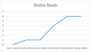 Sheltie Roads 16 06 2024.png