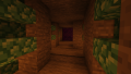 The passageway to the nether portal.