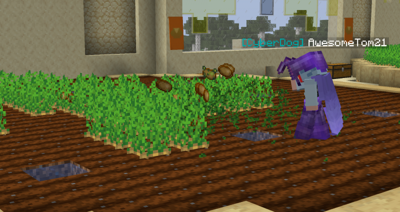 File:Tom's Tatties First Harvest.png