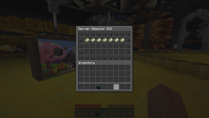 picture of the servers command gui