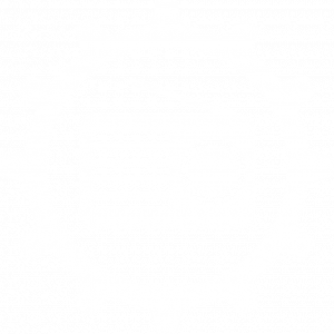 DC Discord Logo White.png